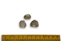 F 00306
<br/>
<br/>
<em></em>